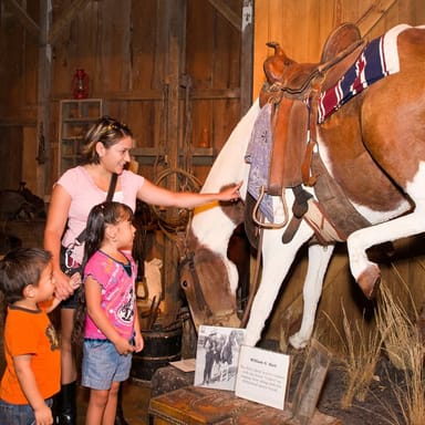 Go City | San Antonio Explorer Pass - 4 Attractions
