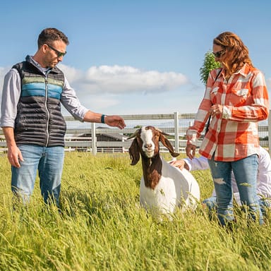 Private Tour of Charlie's Acres Farm Animal Sanctuary