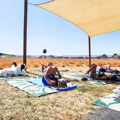 Goat Yoga Session at Charlie’s Acres
