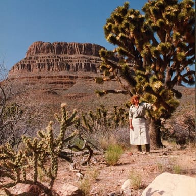 Ultimate Grand Canyon West Rim Adventure with Breakfast and Lunch