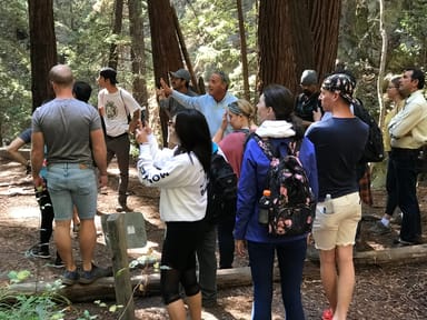 Private Big Sur Hiking Excursion with Lunch