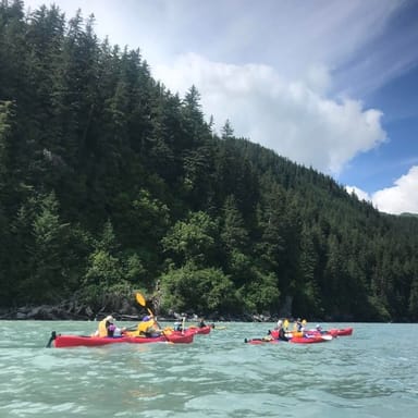 Resurrection Bay Half-Day Kayak Tour