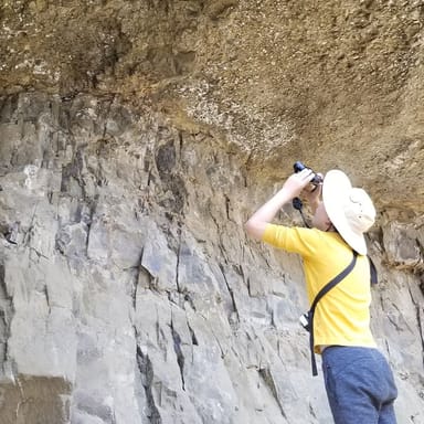 Guided Yellowstone Petrified Forest Hike