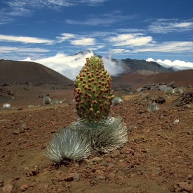 Haleakala Crater Hike