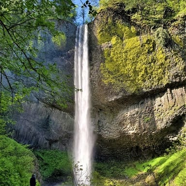 Half-Day Columbia Gorge and Waterfalls Adventure