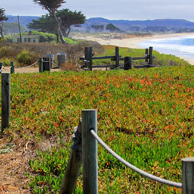 Half Moon Bay Mystery Picnic for Two