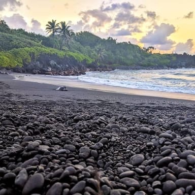 Hana Scenic Flight and Jeep Tour