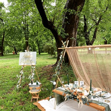 Boho Luxury Picnic Experience