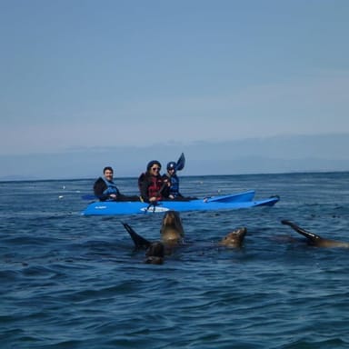 Whale Watching Kayak Tour