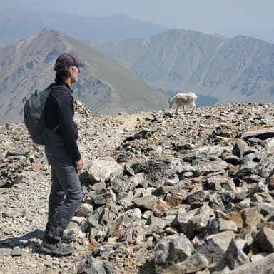 Half-Day Hiking Adventure