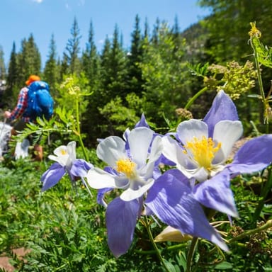 Full-Day Hiking Adventure
