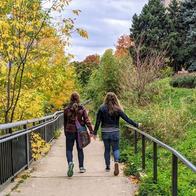 Historical Grand Rapids Walking Tour