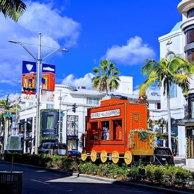 Private Hollywood and Beverly Hills Adventure