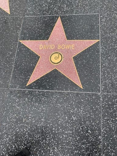 Full-Day LA Sightseeing and Movie Sites Tour