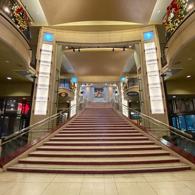 Private Hollywood Highlights and Museum Tour 