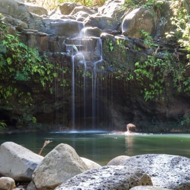 Waterfalls and Rainforest Hike from South Maui