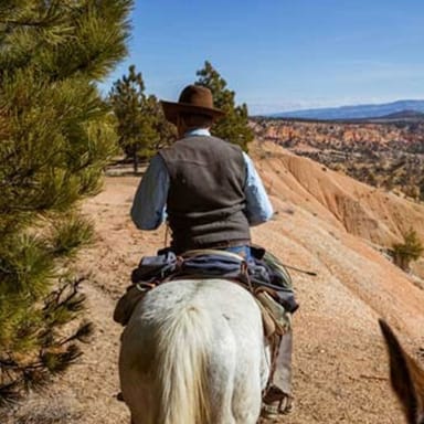 Half-Day Red Canyon Horseback Ride