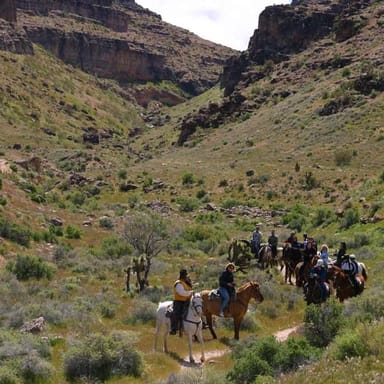 Guided Canyon Trail Ride