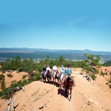 Thunder Mountain Horseback Ride