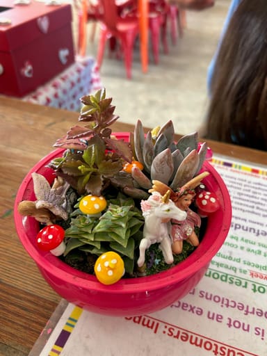 Create Your Own Gnome or Fairy Garden - Garner