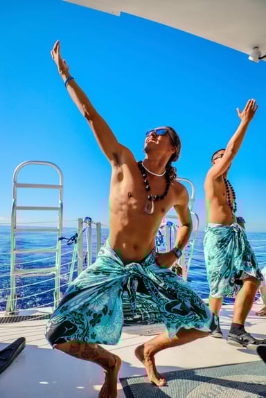 Dolphin Tour with Lunch