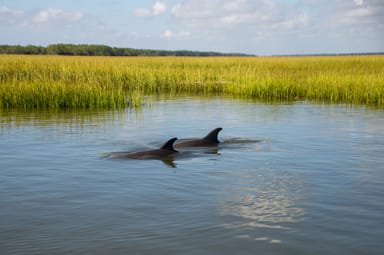 Hunting Island Kayak Tour