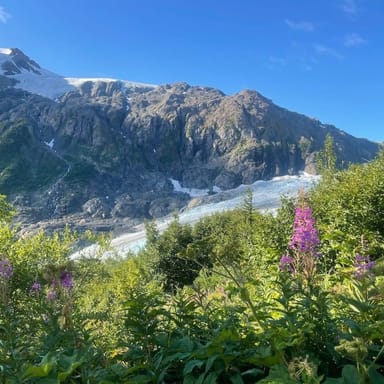 Harding Icefield Hiking Tour