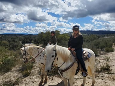 La Cresta Trails Small Group Horseback Ride