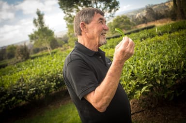 Big Island Volcano Evening Tour