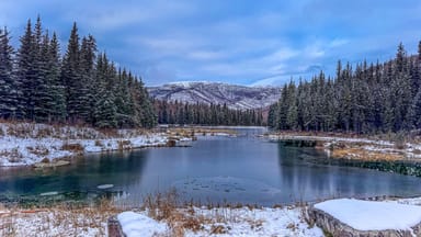 Beginner Photography Workshop