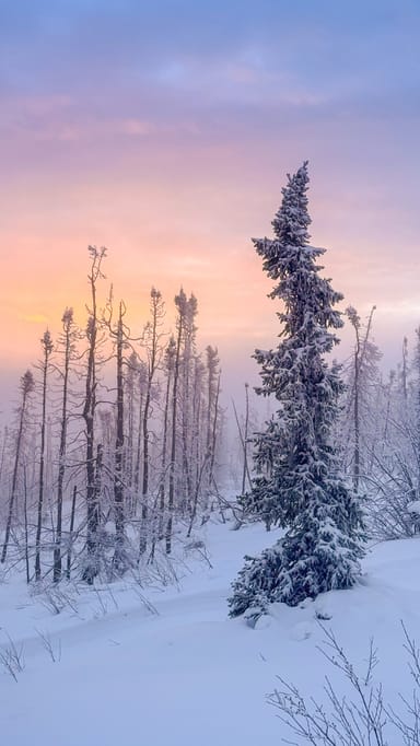 Beginner Photography Workshop