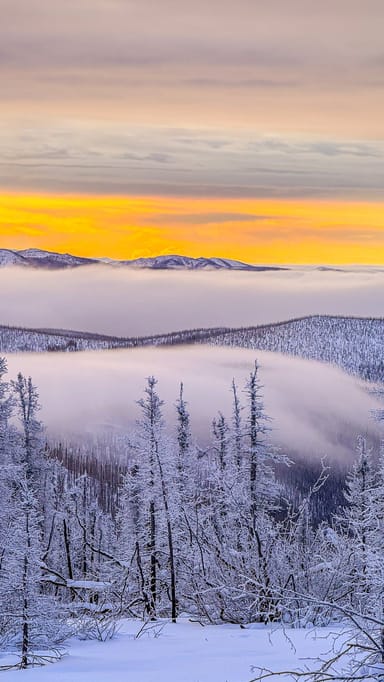 Beginner Photography Workshop