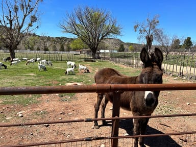 Private Wine Country Tour with Tastings