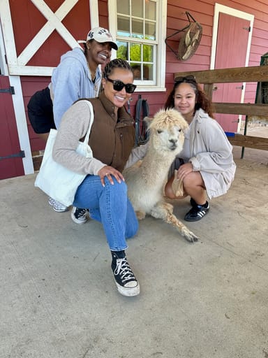 Alpaca Walk and Farm Tour in New Jersey