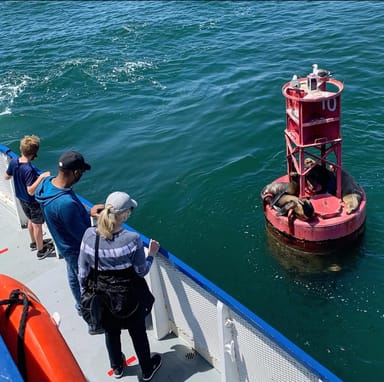 Scenic West Harbor LA Narrated Cruise
