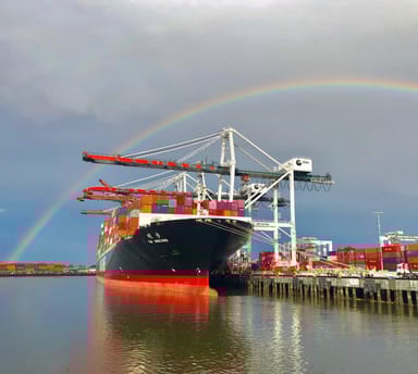 Scenic West Harbor LA Narrated Cruise