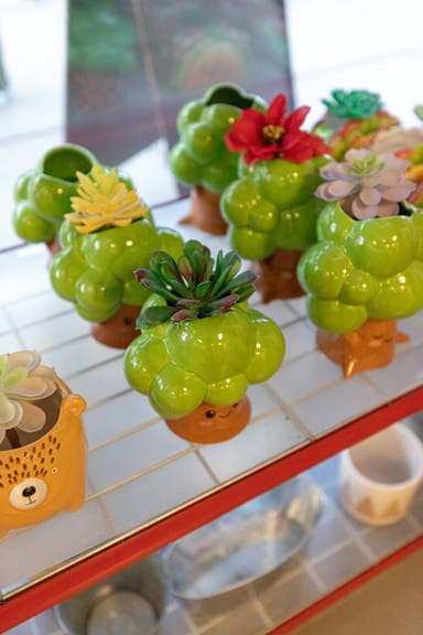 Create Your Own Gnome or Fairy Garden