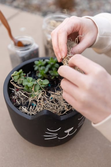 Create Your Own Gnome or Fairy Garden - Milpitas