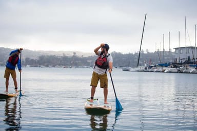 Beginner Stand-Up Paddleboard Class