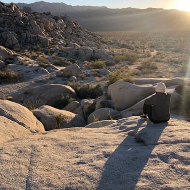 Joshua Tree Jeep Tour