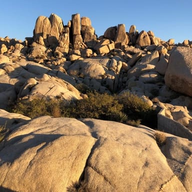 Joshua Tree Jeep Tour