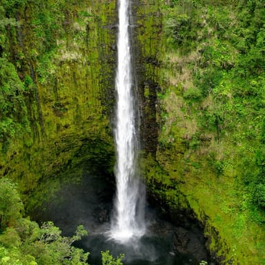 Ultimate Big Island Sightseeing Tour