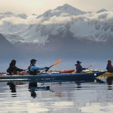 Resurrection Bay Half-Day Kayak Tour
