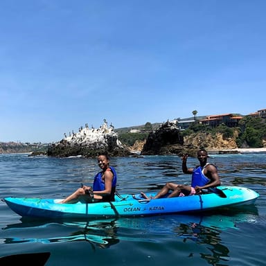 Open Ocean Wildlife Kayak Tour