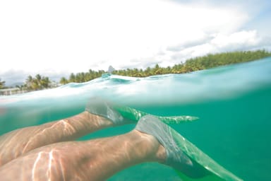 Key West Snorkeling Adventure with Unlimited Drinks