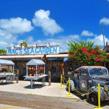 Key West Day Trip: A Journey to the End of the Keys