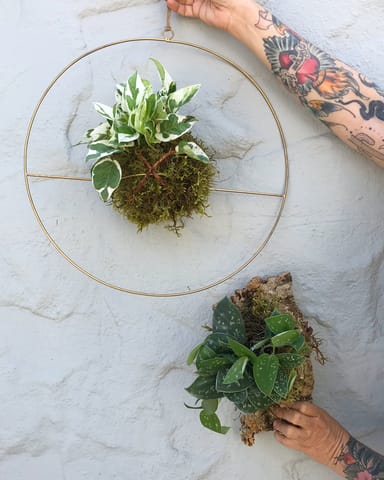 Hands-on Kokedama Botanical Art Class
