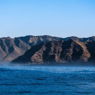 Whale Watch Speedboat Cruise