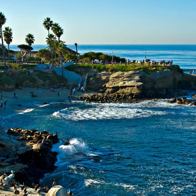 La Jolla Mystery Picnic for Two
