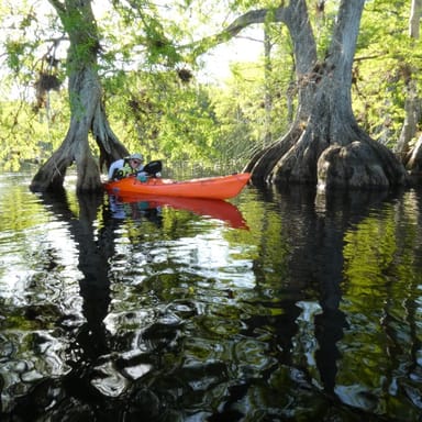 Lake Norris Kayak Adventure